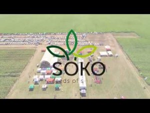 SOKO - presentation video