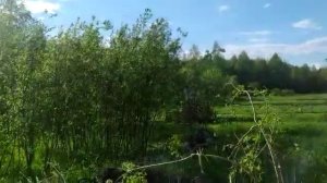 Мульчирователь ПН 2 0 Лискисельмаш