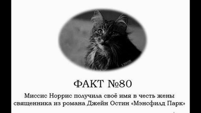 Мир Гарри Поттера. Интересные факты. смотреть онлайн