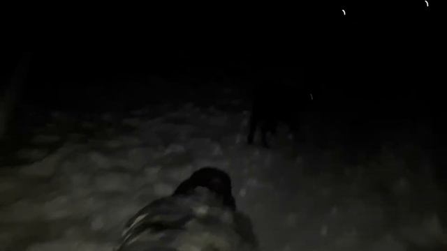 Папаян ползет домой после большой пьянки смотреть онлайн