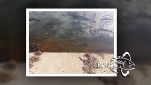 Платная рыбалка Вилар
