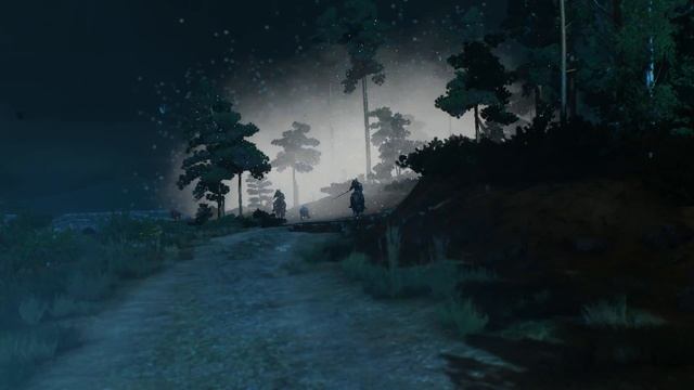 Ведьмак 3: Дикая Охота (The Witcher 3: Wild Hunt ) #3 Вызима