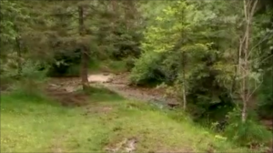 ручьи и водопады