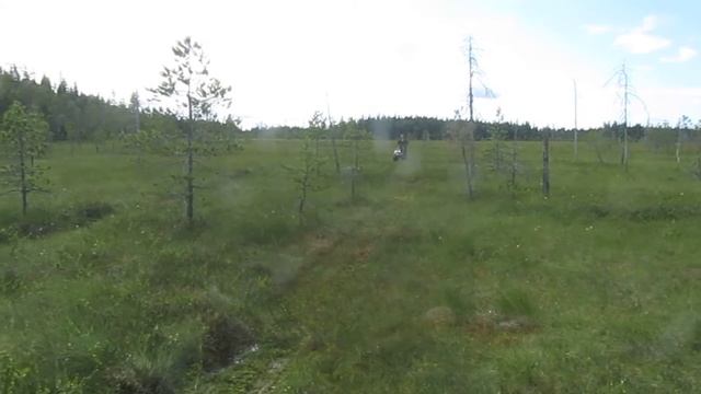 Болота залитые водой. Мотобуксировщик Следопыт смотреть онлайн