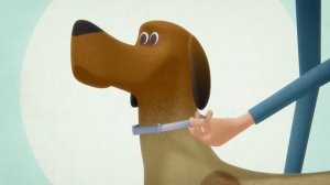 Ошейник Форесто (Bayer) для собак. Анимационный ролик