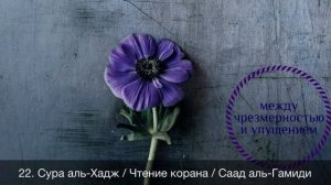 22. Сура аль-Хадж / Чтение корана / Саад аль-Гамиди