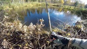 Рыбалка с Norstream Bifrost