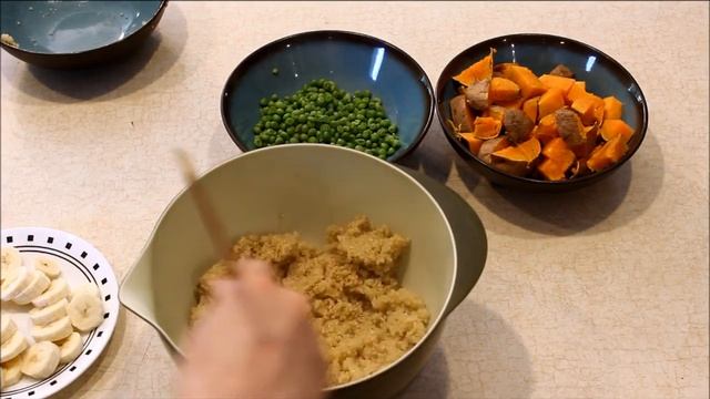 Homemade Vegetarian Dog Food Recipe (Simple to Make)