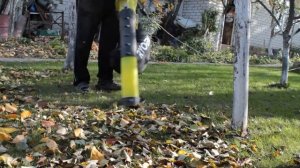 Садовый пылесос RYOBI