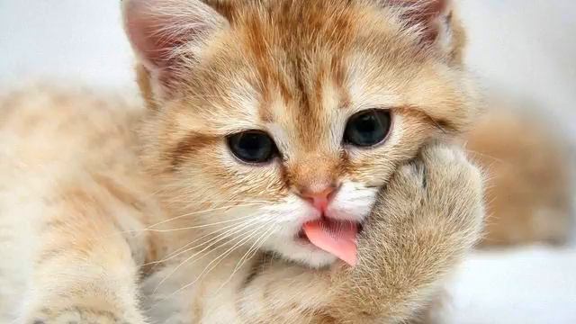 Песня вечная любовь. Реальный хит! Посмотрите! смотреть онлайн