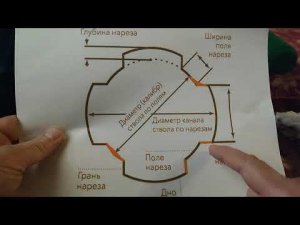 НВП 73-ИМХО о видео (восстановленное)