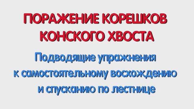 С. Подводящие упражнения к восхождению и спусканию по лестнице.