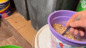 Спортивные голуби в Германии 2 / racing pigeons Germany