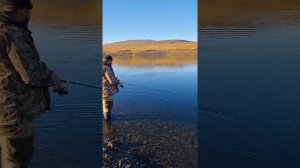 Ловля хариуса на спиннинг на Крайнем Севере на блесну.