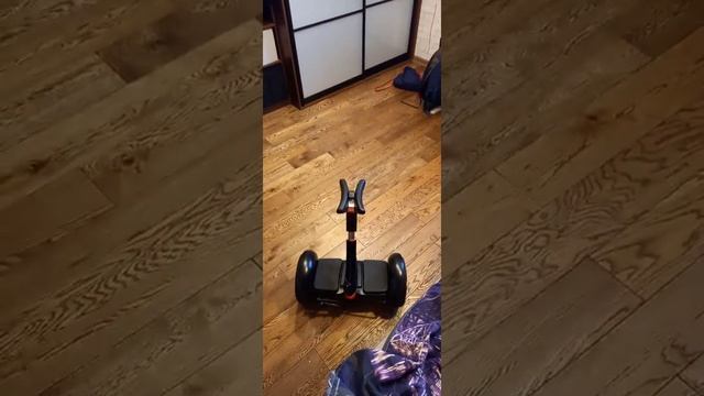 сегвей управляется с пульта смотреть онлайн