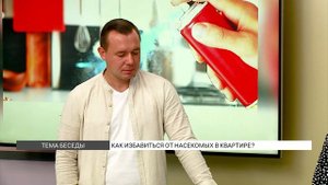 Как избавиться от насекомых в квартире?