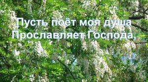 Пусть поёт моя душа