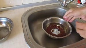 Заготовка косточки алычи (для выращивания подвоев)