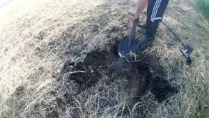 Металлопоиск в поле с MD-4080.