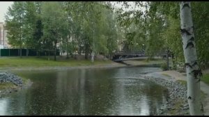 НЕ ТОРОПИТЕСЬ ЖИТЬ... Стихи Натальи Шамоновой. Читает Валентина Приставко.