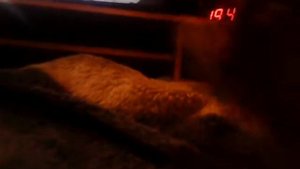 Фиксипелки