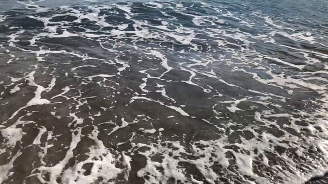 Дикий пляж в Бордигера виллы на первой линии у моря. Лигурия. Италия. Beach. Costa Ligure. Italia смотреть онлайн