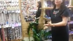 Деньги фэн шуй Денежное дерево