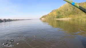 Urban Fishing 3 ||  Рыбалка в Кемерово на р.Томь, задорный пескарь, где остальные?