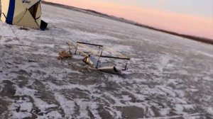 Рыбалка зимой# Окунь на пустые мормышки, сорога на мотыля.