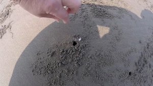 3. Индия. Гоа. Новый отель. Пляж Морджим и окрестности