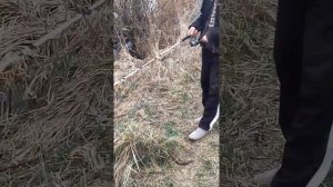Ловля на тройник