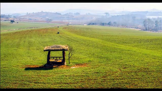 [김태호색소폰] 꿈(조용필) Alto Saxo смотреть онлайн