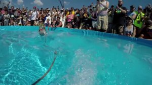 Twiggy the Waterskiing Squirrel, белка на водных лыжах!