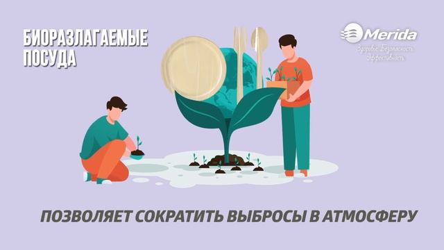Биоразлагаемые моющие средства, посуда, мешки и баки для мусора