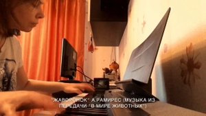Ариэль Рамирес "Жаворонок" музыка из т/п "В мире животных"