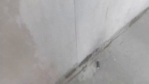 Установка растворных маяков