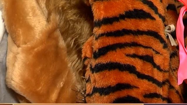 НА ВКУС И ЦВЕТ смотреть онлайн