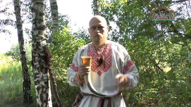 Волхв Велеслав: Были ли вообще кровавые жертвы Богам у славян