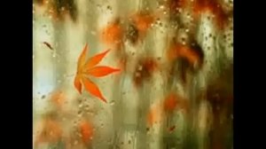 Батырхан Шукенов и Мурат Насыров ~~ В серых каплях дождя