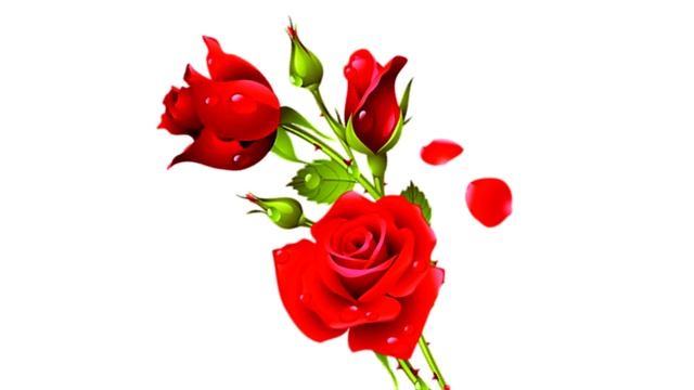 Притча Роза и шипы. Научитесь видеть красоту и добро за недостатками смотреть онлайн