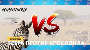 Безумные Битвы Животных, от Которых Мурашки по Коже