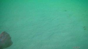 PGS Varadero пляж. 05.24