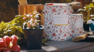 Charmant: Country Style Backstage («Бэкстейдж в стиле кантри»)