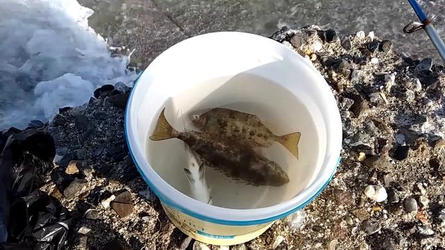 Ловлю в Средиземном море на креветку. смотреть онлайн