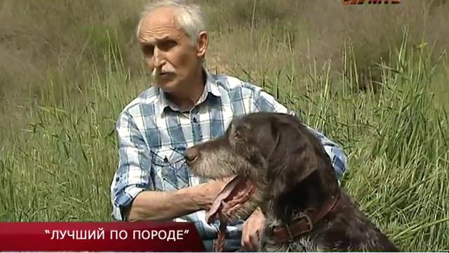 «ЛУЧШИЙ ПО ПОРОДЕ»