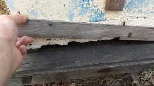 Продукция Пеноулика: первые впечатления.