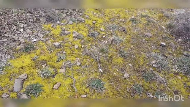 Готовь сани летом 2. смотреть онлайн