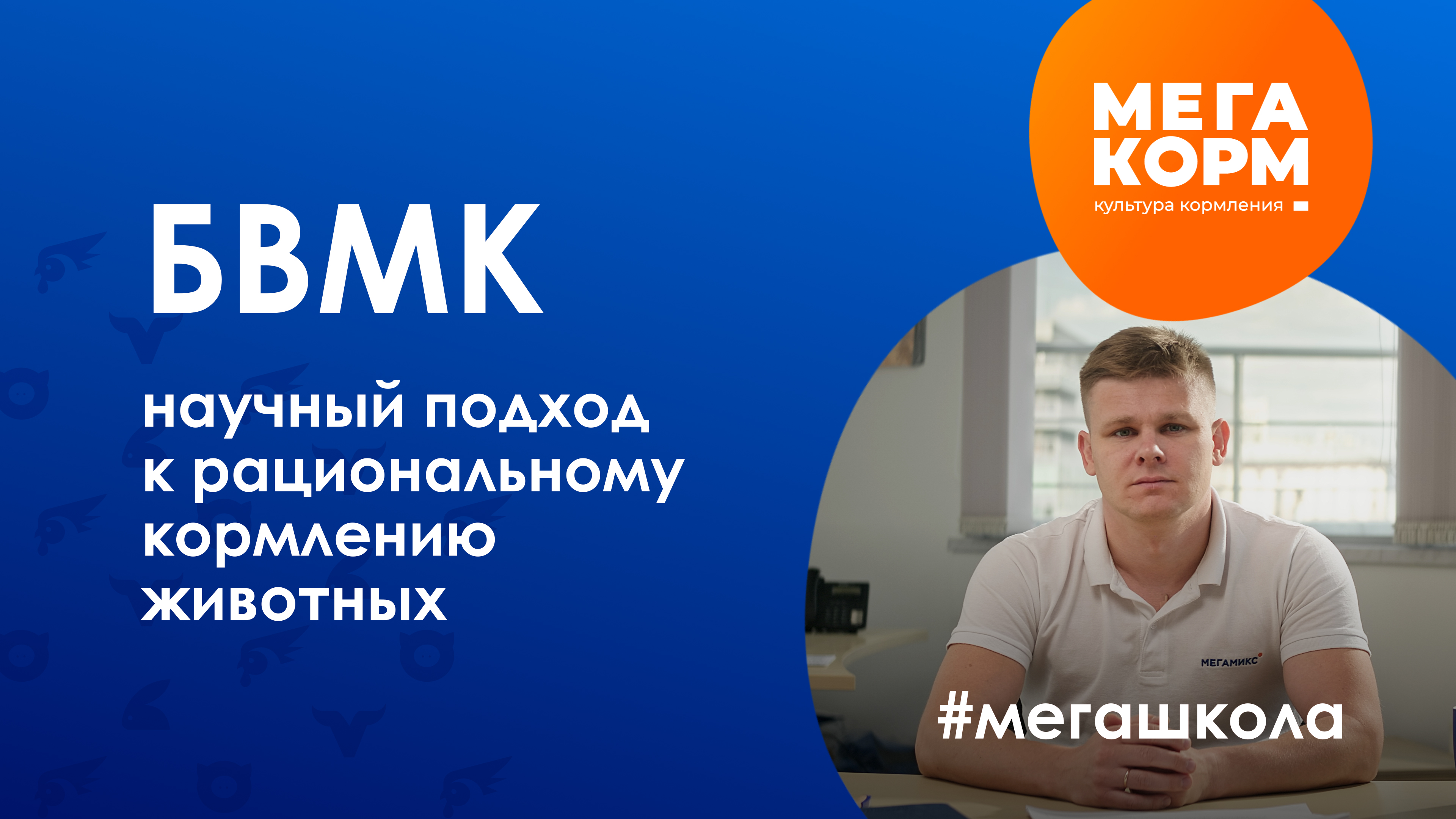 Что такое БВМК? Как использовать и кормить БВМК (Белково-витаминно-минеральные комплексы)