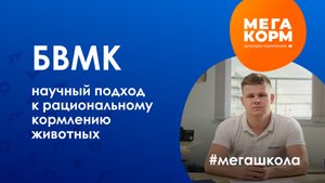 Что такое БВМК? Как использовать и кормить БВМК (Белково-витаминно-минеральные комплексы)