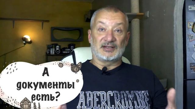 Хотим породистого котёнка. Выбираем заводчика.